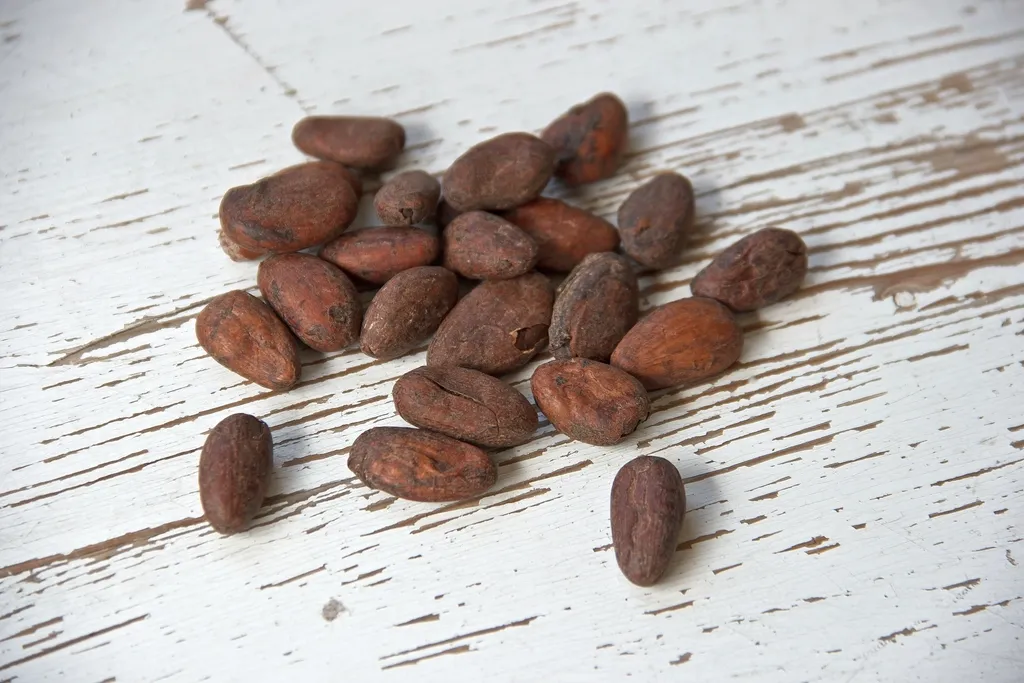 Florestal Chocolates